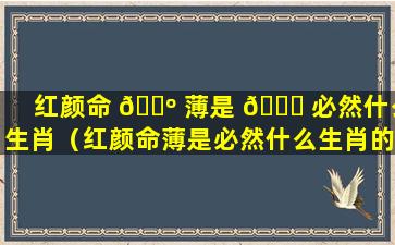 红颜命 🐺 薄是 🐘 必然什么生肖（红颜命薄是必然什么生肖的动物）